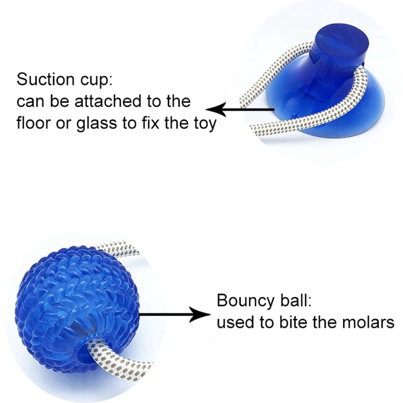 Interactive Suction Cup Toy For Cat, Dog With TPR Ball And Elastic Rope.