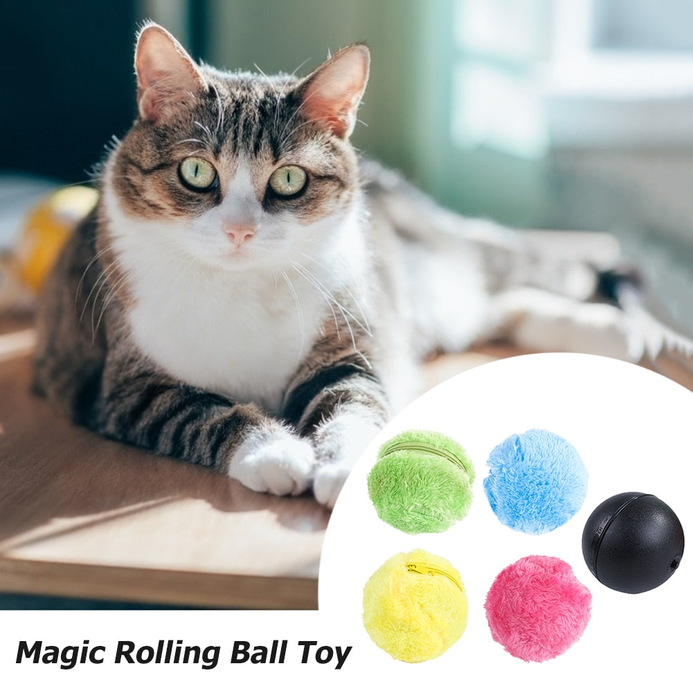 5 Pcs Battery Operated Pet Toy.