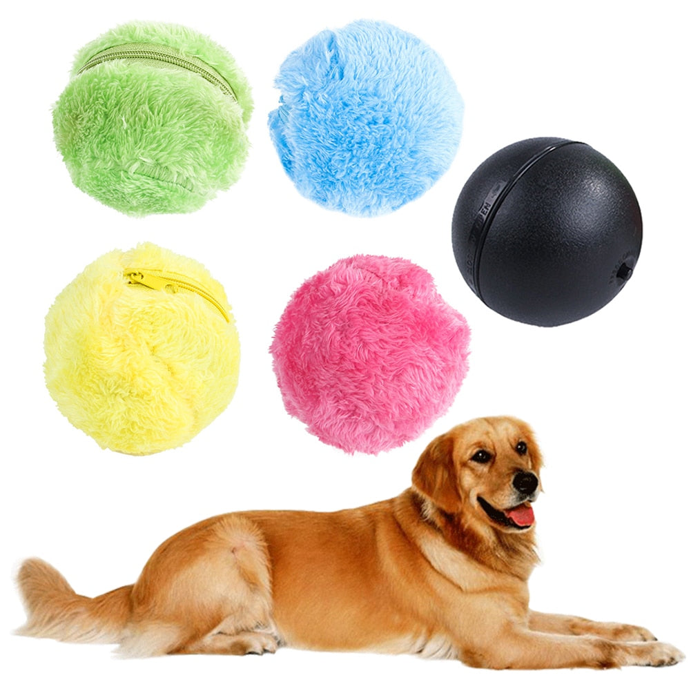 5 Pcs Battery Operated Pet Toy.