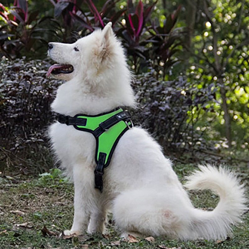 Adjustable Vest Harness For Small, Medium, Large And Extra Large Dogs.