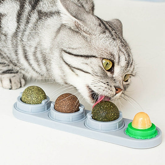 Cat Catnips Toys.