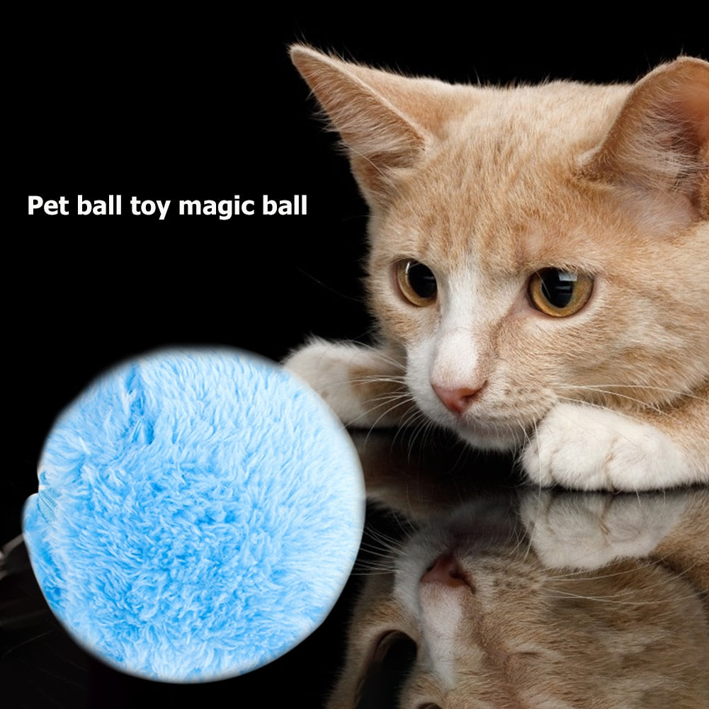 5 Pcs Battery Operated Pet Toy.