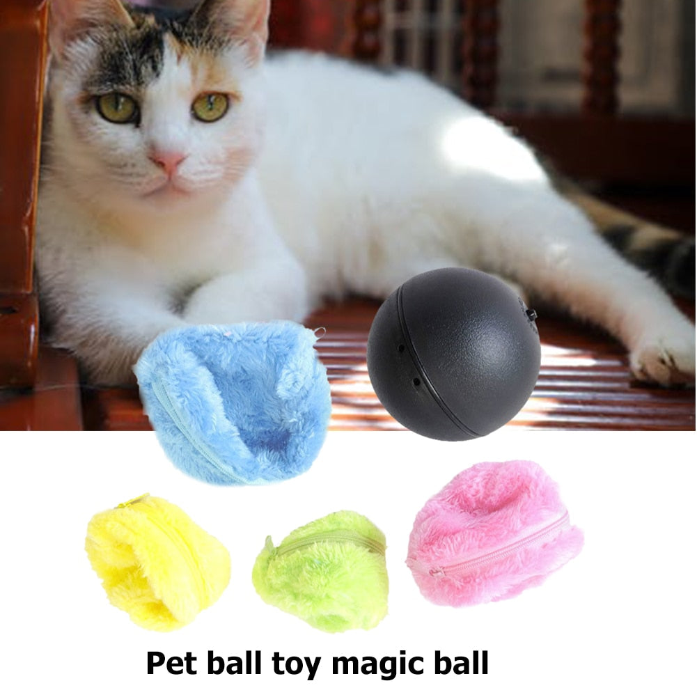 5 Pcs Battery Operated Pet Toy.