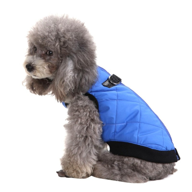 Winter Coat For Cat And Dog Has Zipper Closure.