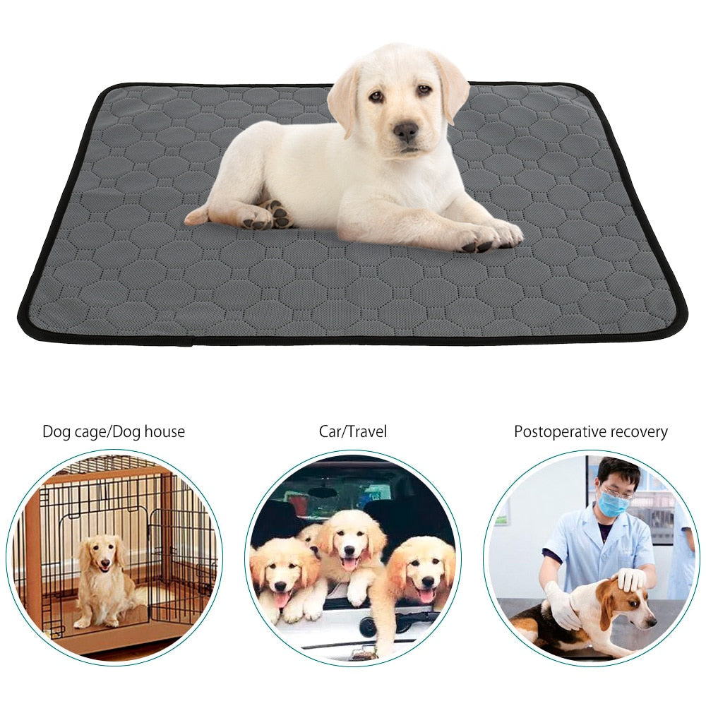 Reusable And Absorbent Cooling Blanket/Pee Pad For Pets.