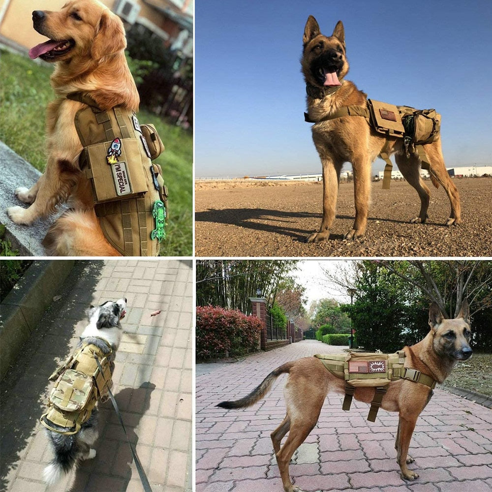 Tactical/Training Harness And Leash Set For Big Dogs